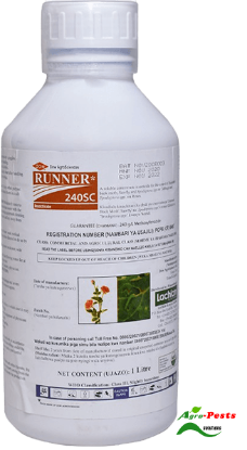 Picture of Runner 240 SC