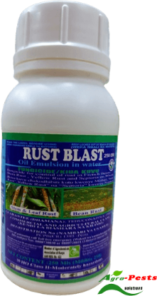 Picture of Rust Blast