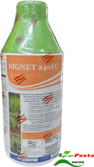 Picture of Signet 240EC