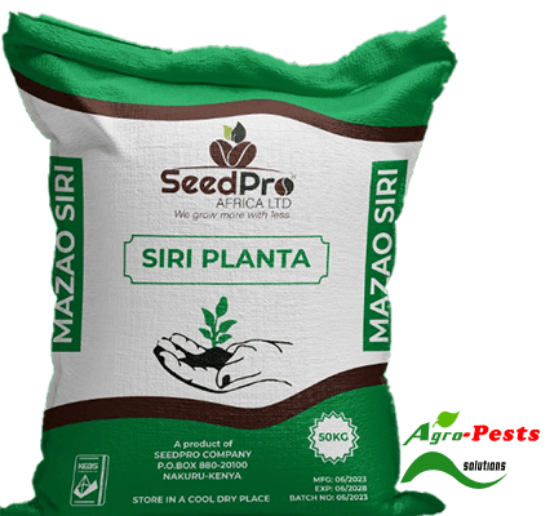 Picture of Siri Planta