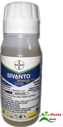 Picture of Sivanto energy