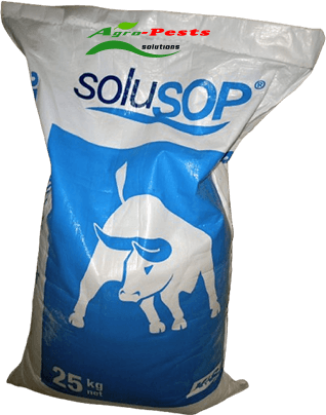 Picture of solusop
