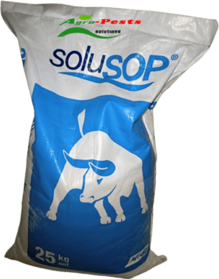 Picture of solusop