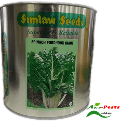 Picture of Spinach Fordhook Giant