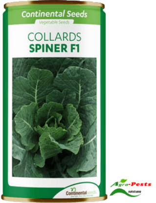Picture of Spiner F1 Collards