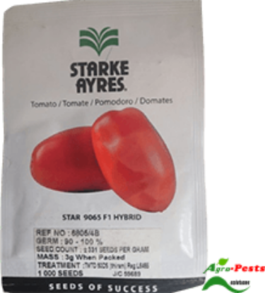 Picture of Star 9065 F1