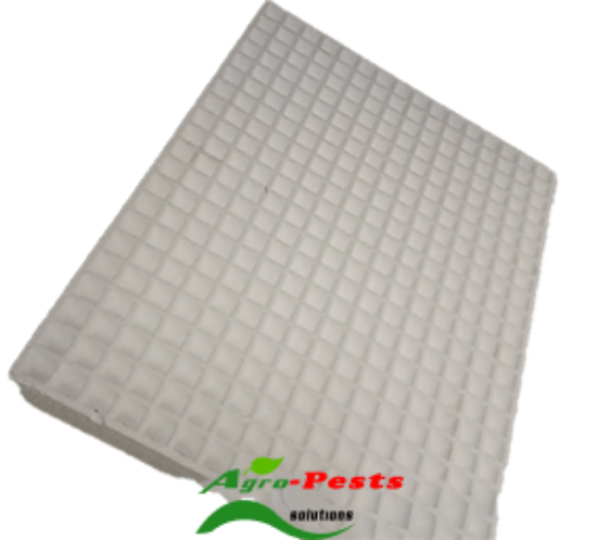 Picture of Styrofoam Trays