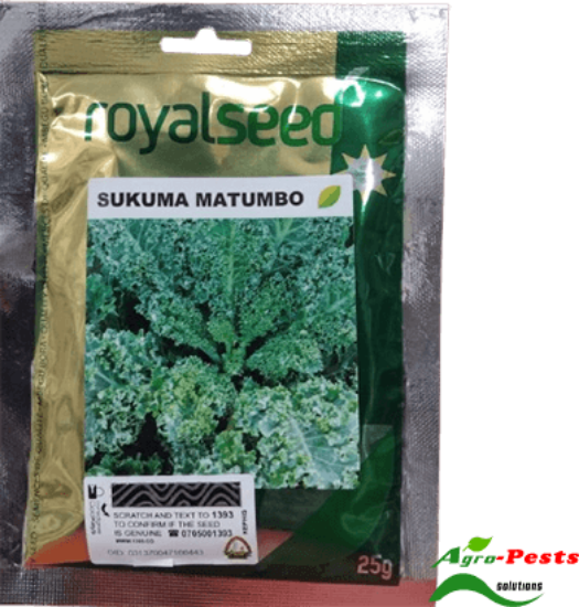 Picture of Sukuma Matumbo Royal