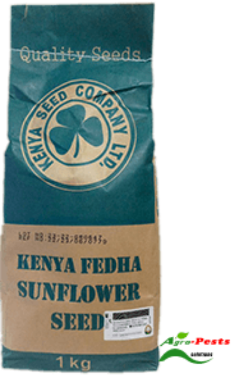Picture of Sunflower Kenya Fedha