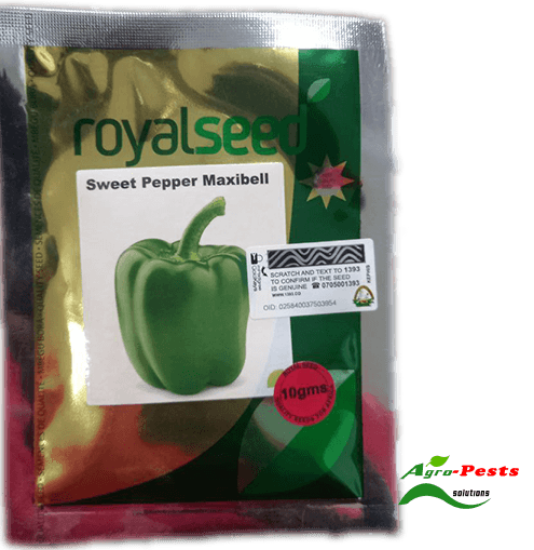 Picture of Sweet pepper maxibell