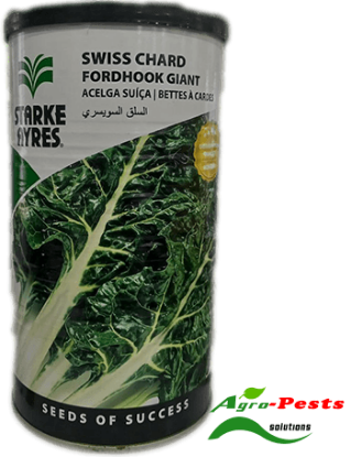 Picture of SWISS CHARD FORDHOOK GIANT