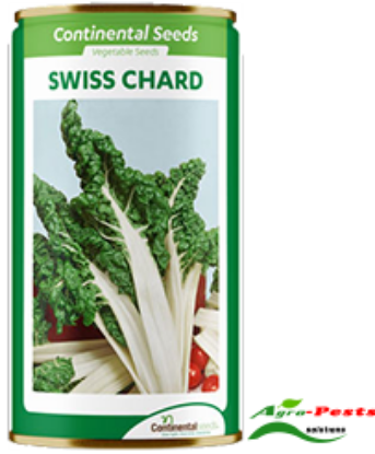 Picture of Swiss Chard Spinach