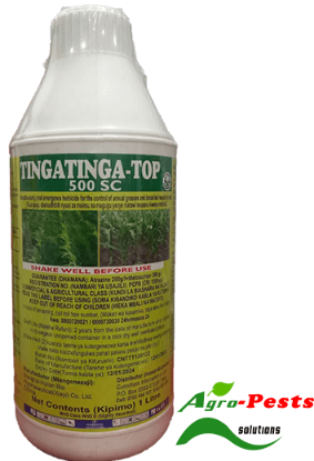 Picture of TingaTinga Top
