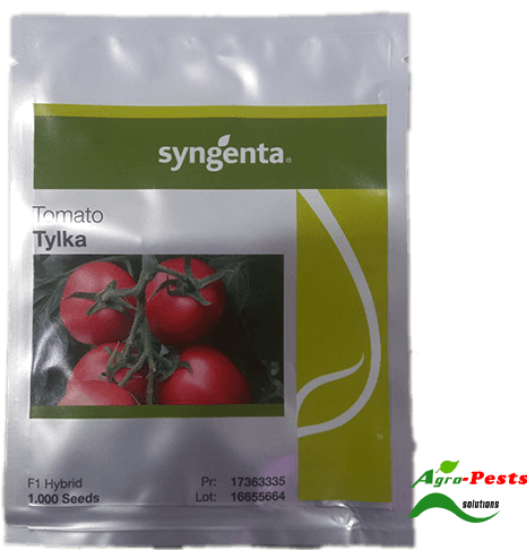 Picture of Tomato Tylka F1