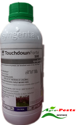 Picture of Touchdown Forte