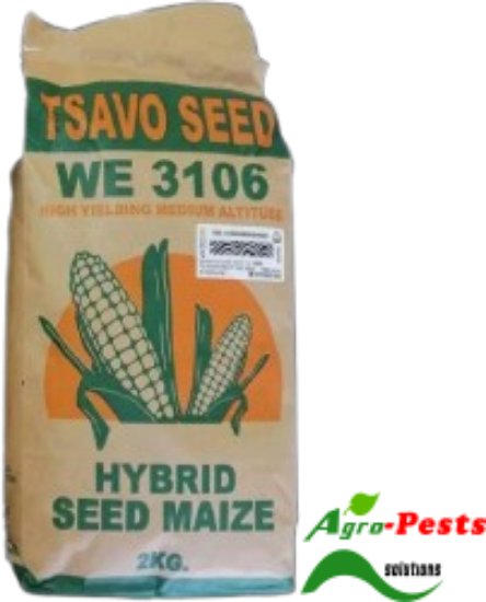 Picture of Tsavo 3106