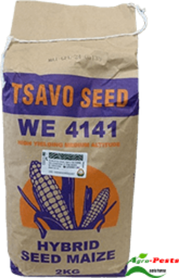 Picture of Tsavo 4141