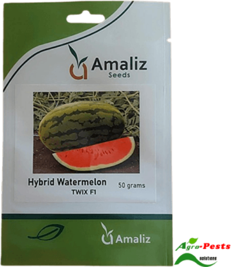 Picture of Twix F1 Watermelon