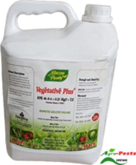 Picture of Vegetative Plus 5L