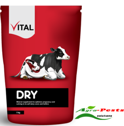 Picture of Vital Dry