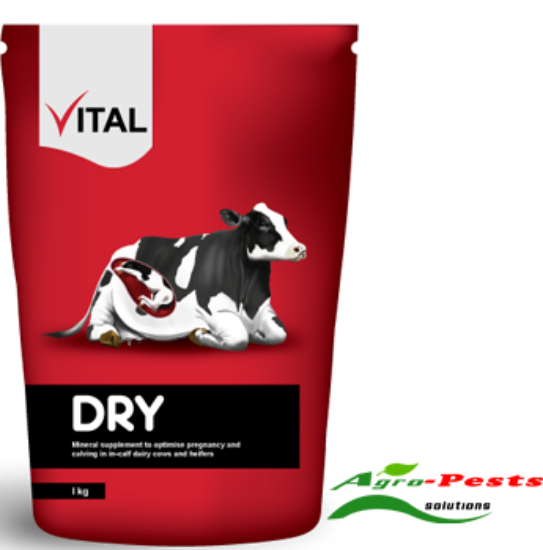 Picture of Vital Dry