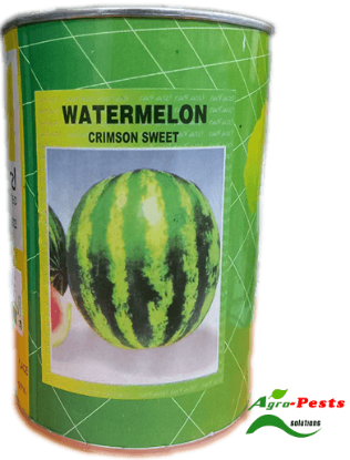 Picture of Watermelon Crimson Sweet