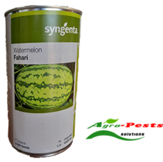 Picture of Watermelon Fahari 5,000 seeds