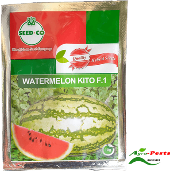 Picture of Watermelon Kito F1 10g
