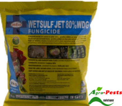 Picture of Wetsulf Jet 80_WDG
